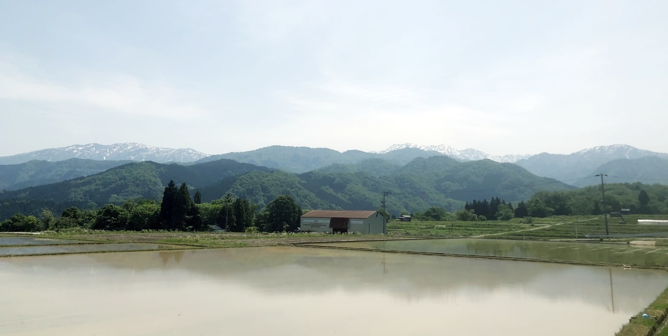 大日圃場
